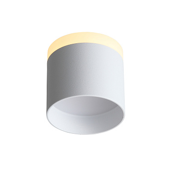 Светильник точечный накладной ST Luce PANAGGIO ST102.502.12 12Вт LED