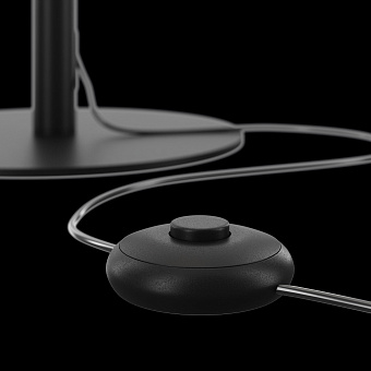 Торшер Maytoni Ray Z012FL-L18B3K 18Вт LED