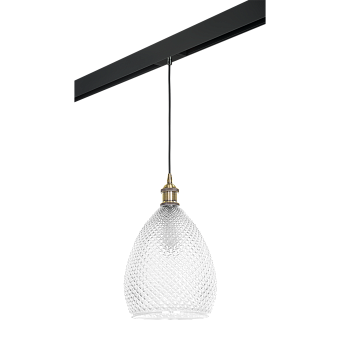 Трековый светильник Lightstar Genni PRO798021 40Вт E27 прозрачный для однофазного трека