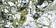 Полированный керамогранит NEODOM Belvedere N40008 Garden Green Polished 120х60см 1,44кв.м.