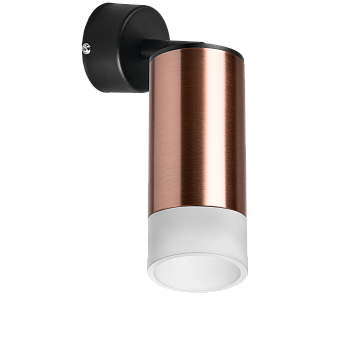 Светильник настенно-потолочный Lightstar Rullo RB43031 50Вт GU10