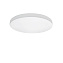 Светильник точечный накладной Lightstar Arco 225204 20Вт LED