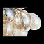 Люстра потолочная ST Luce SOSPIRO SL432.202.06 18Вт 6 лампочек G9