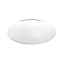 Светильник настенно-потолочный Sonex Simple 3017/DL 48Вт LED