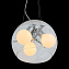 Светильник подвесной ST Luce UOVO SL512.103.03 180Вт E27 Globe