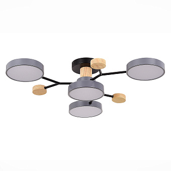 Светильник потолочный Evoluce FAEMA SLE6006-702-04 48Вт LED