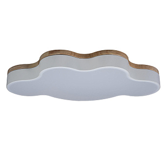 Светильник потолочный Loft It Axel 10005/36 White 36Вт LED