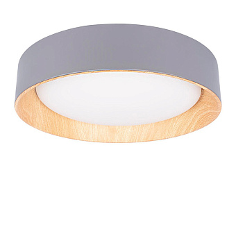 Светильник потолочный Loft It Coin 10202 Grey 36Вт LED
