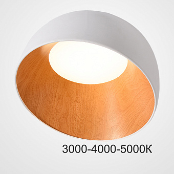 Светильник потолочный ImperiumLOFT Norda 224016-23 24Вт LED