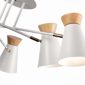 Светильник потолочный Evoluce ALFEO SLE1252-502-06 360Вт E27