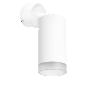 Светильник настенно-потолочный Lightstar Rullo RB43630 50Вт GU10