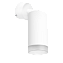Светильник настенно-потолочный Lightstar Rullo RB43630 50Вт GU10