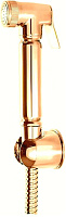 Гигиенический душ CAPRIGO PARTS 99-063-oro золото