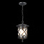 Светильник подвесной ST Luce LORNE SL085.403.01 60Вт E27