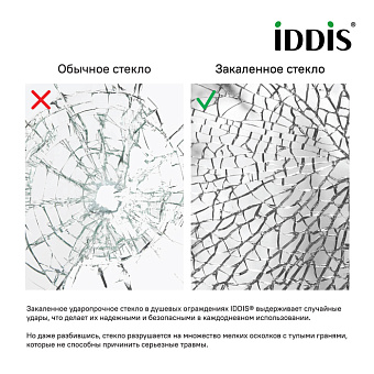 Душевая дверь IDDIS Slide SLI6BH2i69 195х6см стекло прозрачное