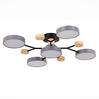 Светильник потолочный Evoluce FAEMA SLE6006-702-05 60Вт LED