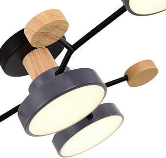 Светильник потолочный Evoluce FAEMA SLE6006-702-04 48Вт LED