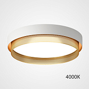 Светильник потолочный ImperiumLOFT Malia 223851-23 48Вт LED