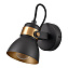 Спот Vele Luce Vulcano VL6544W01 60Вт 1 лампа E27