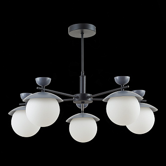 Светильник потолочный Evoluce GENOVA SLE220202-05 25Вт G9