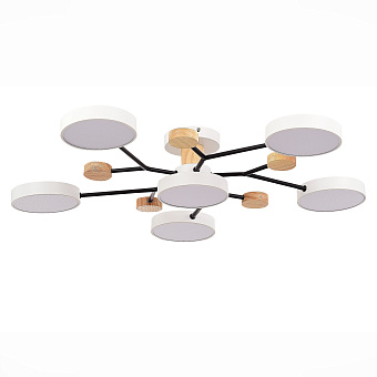 Светильник потолочный Evoluce FAEMA SLE6006-502-06 72Вт LED