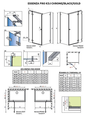 Душевая дверь RADAWAY Essenza 10097120-09-01R 200х120см стекло прозрачное