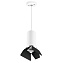 Светильник настенно-потолочный Lightstar Rullo RP486437 50Вт GU10