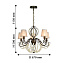 Люстра подвесная Favourite Lily 2305-5P 200Вт 5 лампочек E14