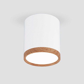 Светильник точечный накладной Elektrostandard a040548 DLR024 6Вт LED