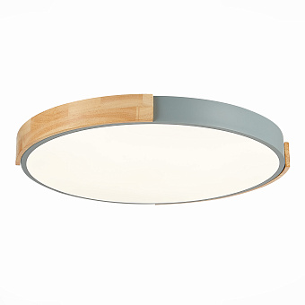 Светильник потолочный Evoluce DELIA SLE201372-01 40Вт LED