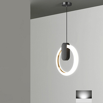 Светильник подвесной ImperiumLOFT Gina 213673-23 10Вт LED