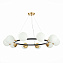Светильник подвесной Evoluce FORLI SLE220403-10 600Вт E27