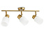 Светильник настенно-потолочный Ambrella Traditional TR3972 400Вт E27
