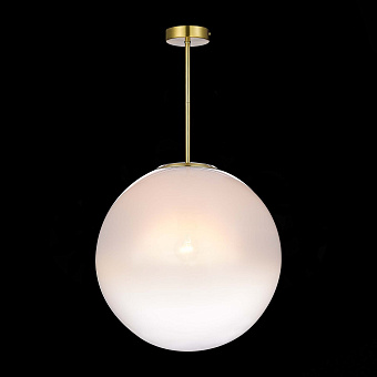 Светильник потолочный ST Luce CASSIUS SL1190.222.01 60Вт E27