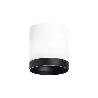 Светильник настенно-потолочный Lightstar Rullo R34863487 15Вт GX 5.3