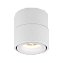 Светильник точечный накладной Elektrostandard Klips a040958 DLR031 15Вт LED