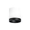 Светильник настенно-потолочный Lightstar Rullo R34863487 15Вт GX 5.3