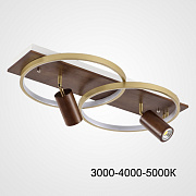 Светильник потолочный ImperiumLOFT Didrika 223844-23 58Вт LED