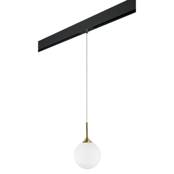 Трековый светильник Lightstar Globo PRO813022 40Вт E14 белый для однофазного трека