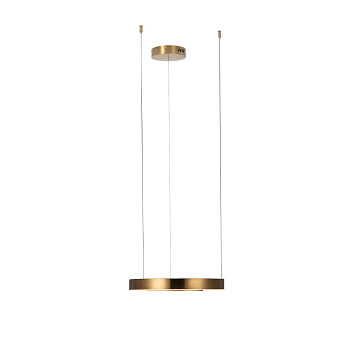 Светильник подвесной Loft It Ring 10013S 12Вт LED