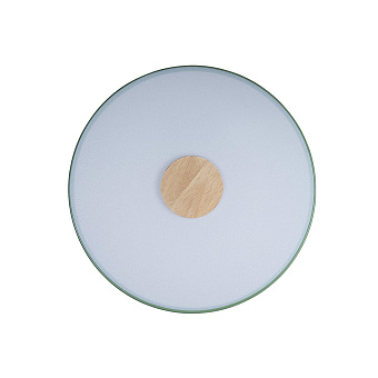 Светильник потолочный Loft It Axel 10003/24 Green 24Вт LED