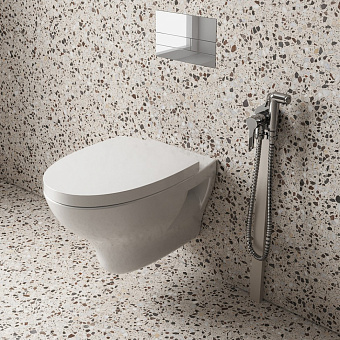 Гигиенический душ Paini Aosta 92CR304KM хром