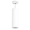 Светильник подвесной Lightstar RULLO RP6496 50Вт GU10