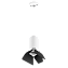 Светильник настенно-потолочный Lightstar Rullo RP436437 50Вт GU10