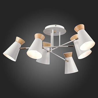 Светильник потолочный Evoluce ALFEO SLE1252-502-06 360Вт E27