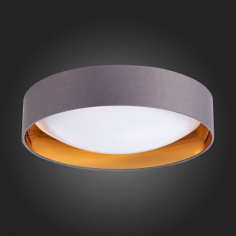 Светильник потолочный Evoluce ORBIO SLE201112-01 24Вт LED