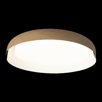 Светильник потолочный Loft It Coin 10198 White 28Вт LED