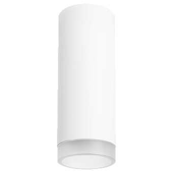 Светильник настенно-потолочный Lightstar Rullo R48630 50Вт GU10