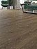 Виниловый ламинат Alpine Floor Ларгетто ЕСО 14-301 1220х183х4мм 43 класс 2,23кв.м