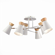 Светильник потолочный Evoluce ALFEO SLE1252-502-06 360Вт E27